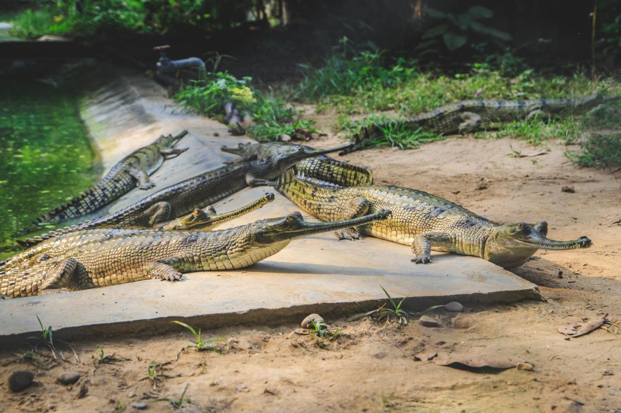 Jagatpur Lodge Khargauli Bagian luar foto